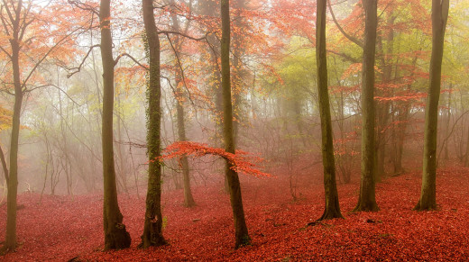 970623 (a): :2048x1146
